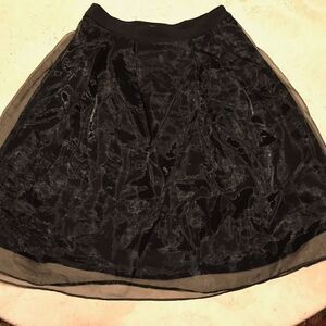 Janette Fashion Sheer Skirt